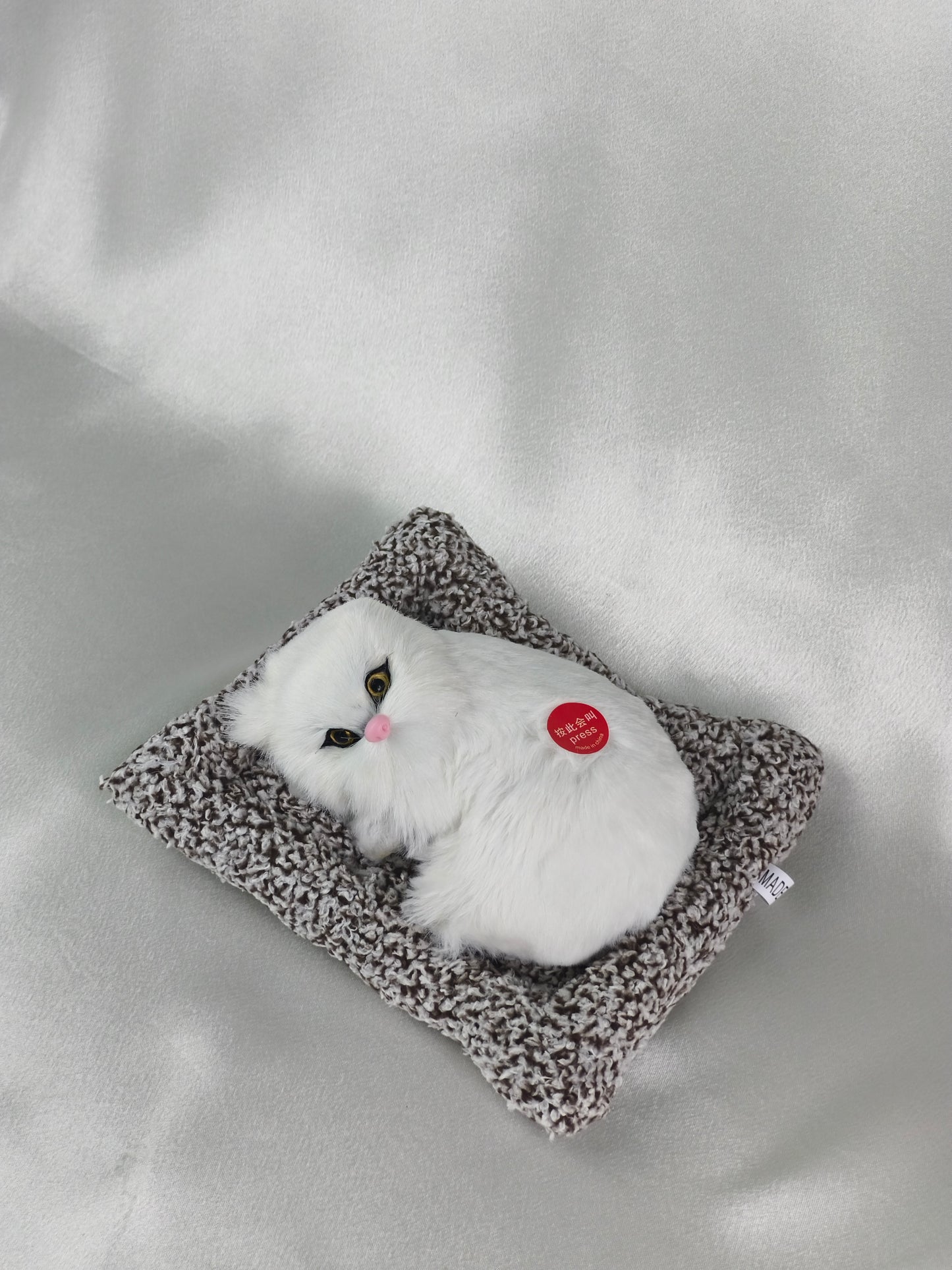 Sleeper cat