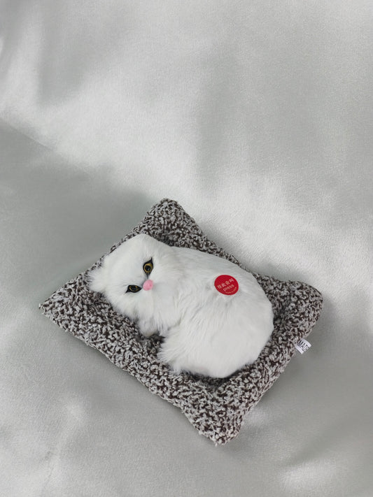 Sleeper cat