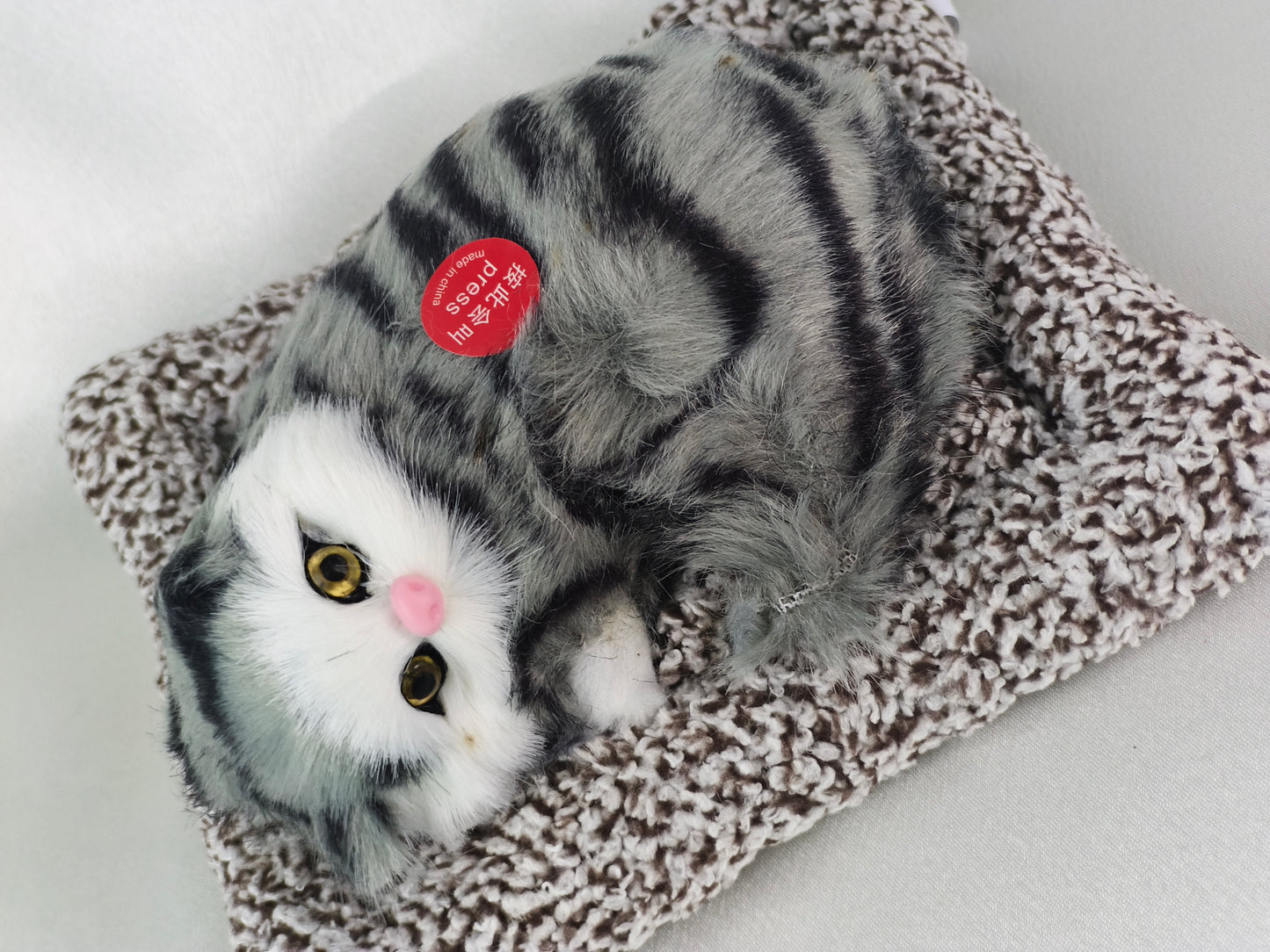 Sleeper cat
