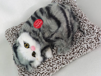 Sleeper cat