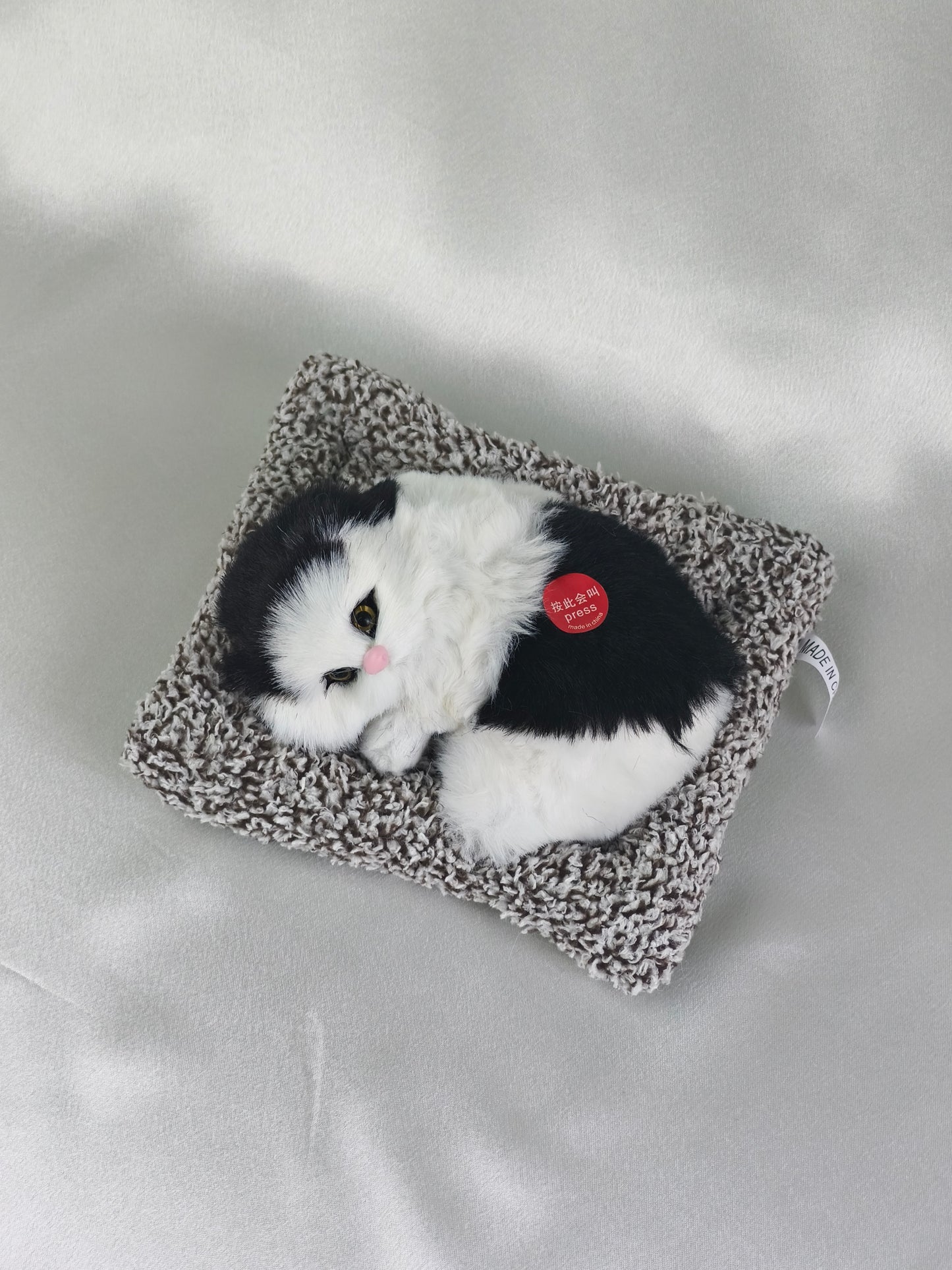Sleeper cat