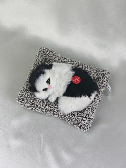 Sleeper cat