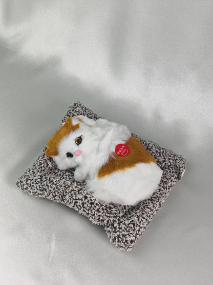 Sleeper cat
