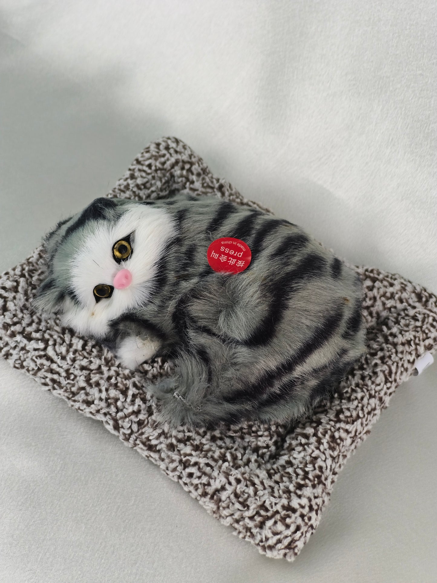Sleeper cat
