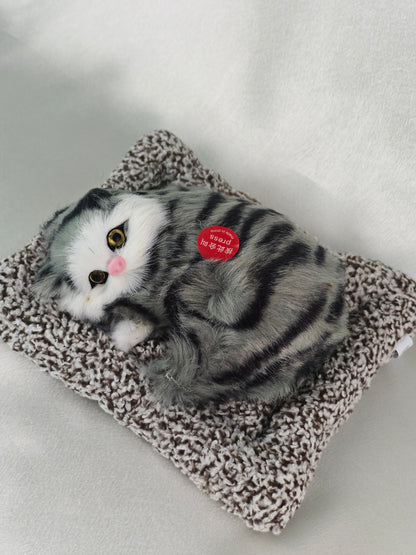 Sleeper cat