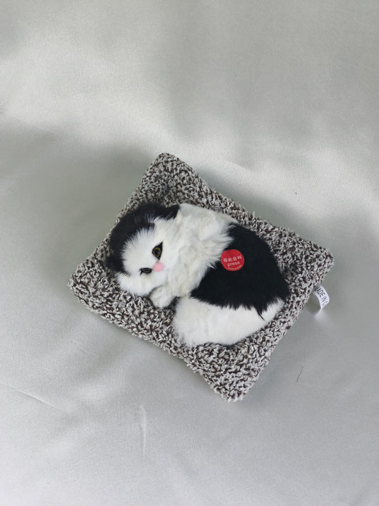 Sleeper cat